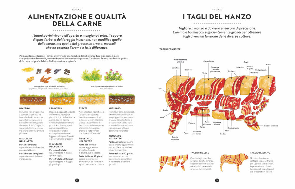 Il grande libro della carne::Tutte le razze, le provenienze, i tagli e le tecniche di cottura