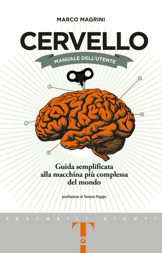 Cervello. Manuale dell'utente::Guida semplificata alla macchina più complessa del mondo
