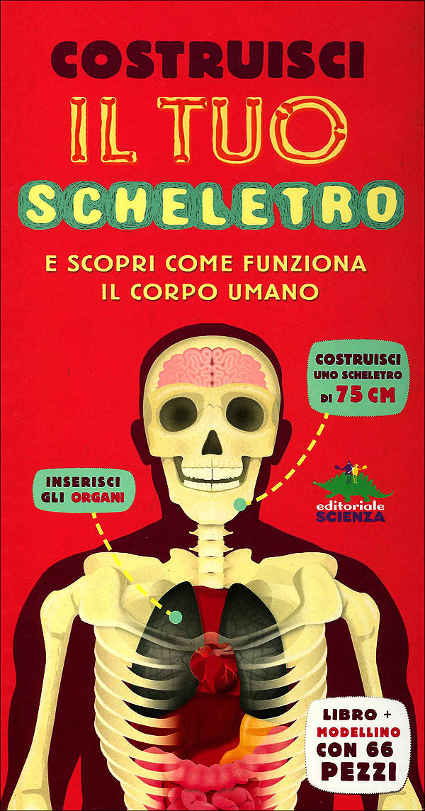 Costruisci il tuo scheletro e scopri come funziona il corpo umano::Libro + modellino con 66 pezzi