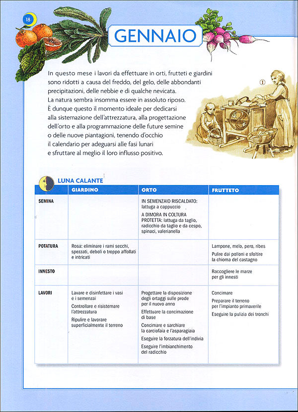 Calendario Lunare::Seminare, potare, innestare, riprodurre, concimare, raccogliere, travasare, cucinare in armonia con gli influssi della Luna - Con il calendario delle raccolte e delle lune