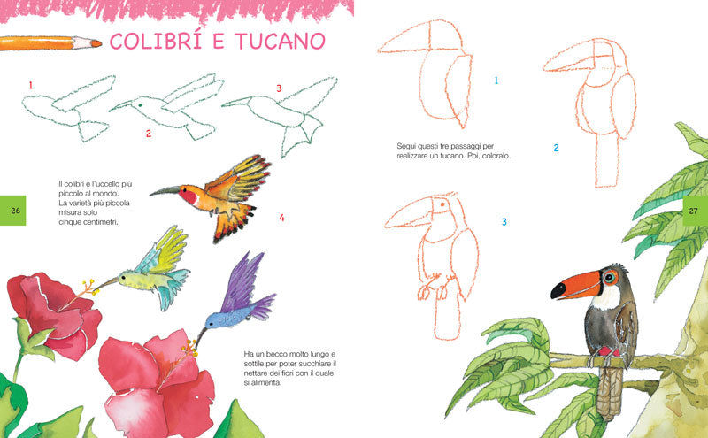 Imparare a disegnare: corso per bambini - Vol. 2::Un manuale con più di 100 esempi per imparare a disegnare passo dopo passo