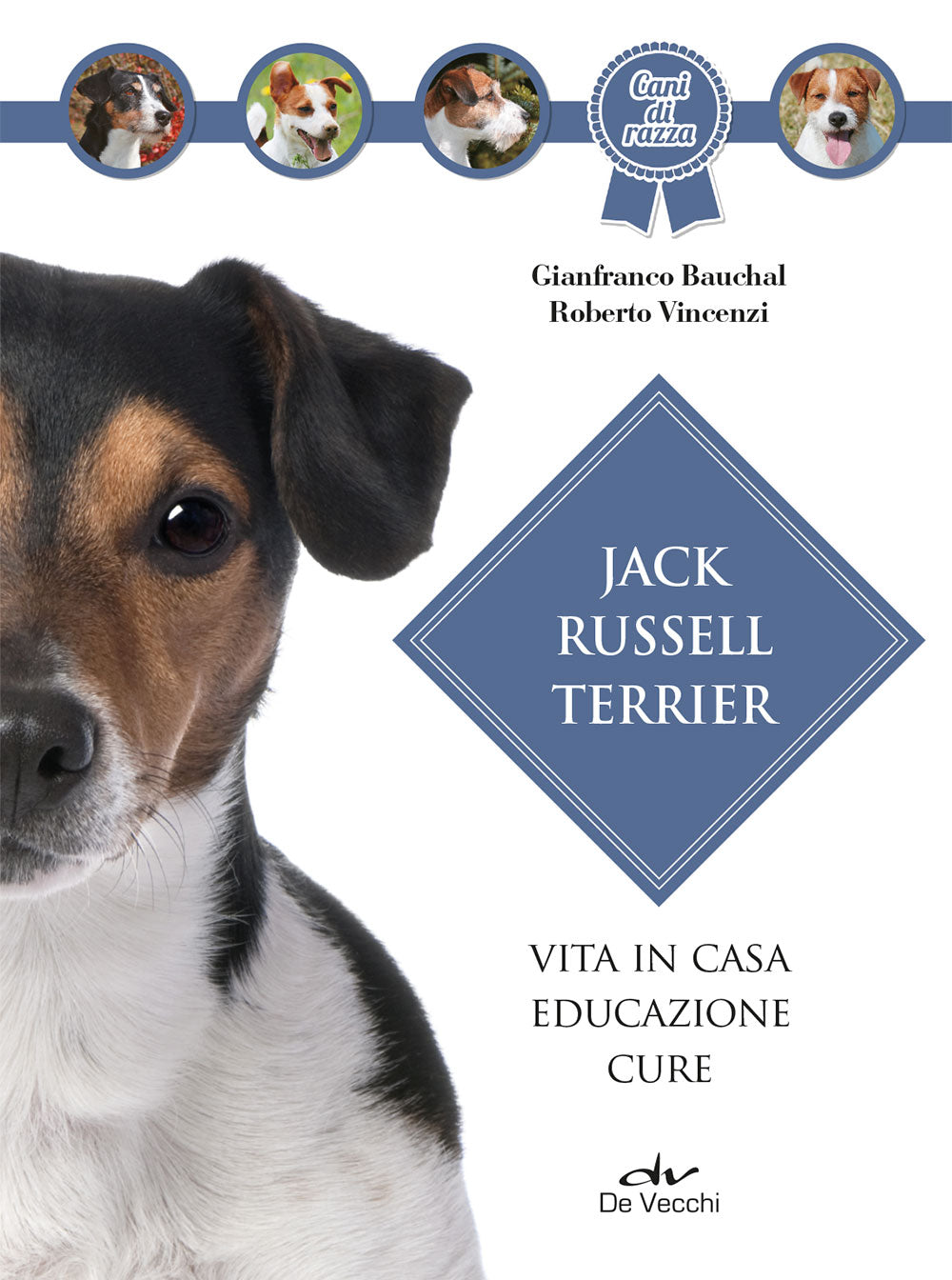 Jack Russel Terrier::vita in casa educazione cure