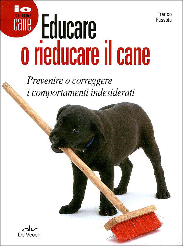 Educare o rieducare il cane::Prevenire o correggere i comportamenti indesiderati