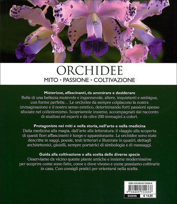 Orchidee::Mito, passione, coltivazione