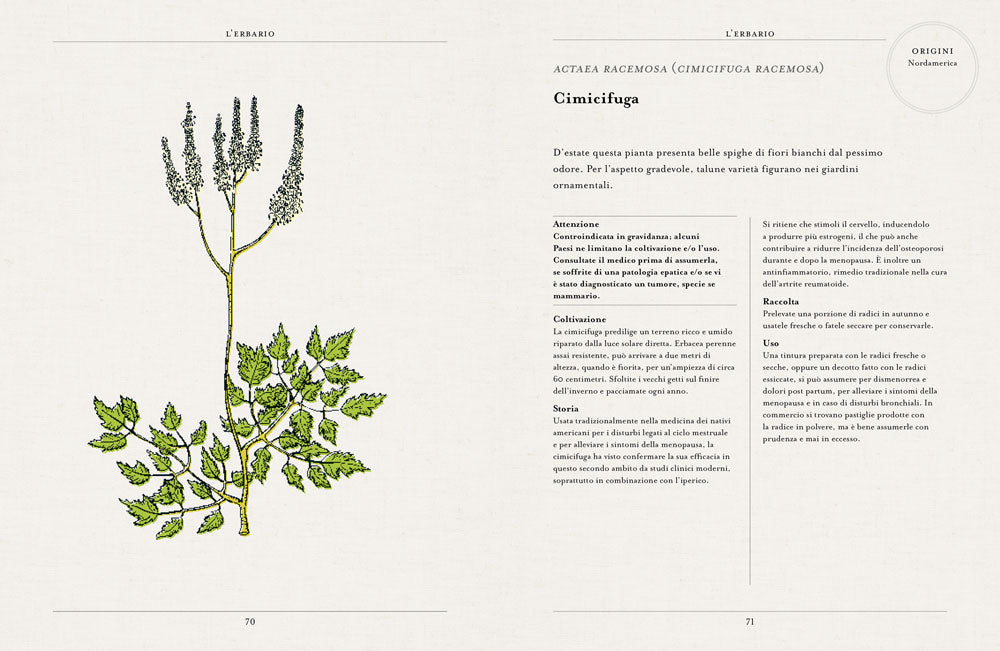Curarsi con le piante::Giuda ai rimendi fitoterapici del più antico orto botanico di Londra