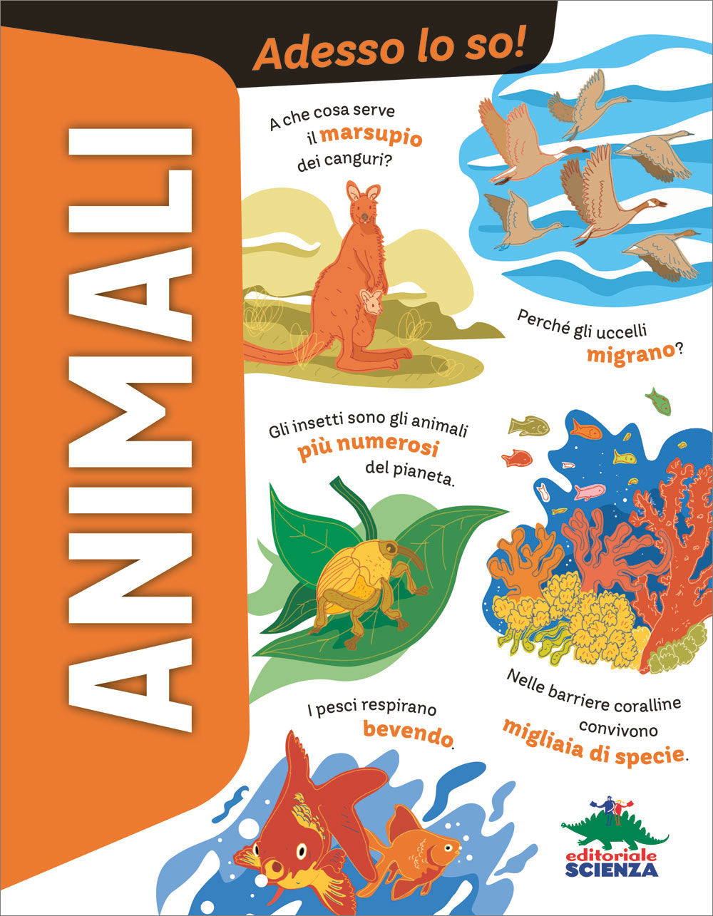 Animali