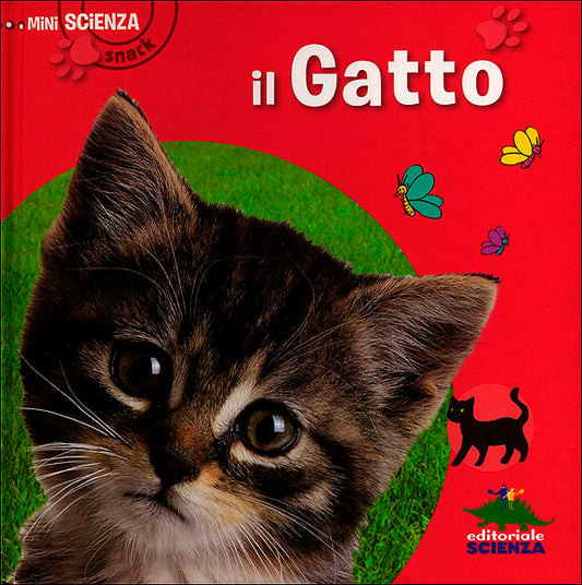 Il Gatto