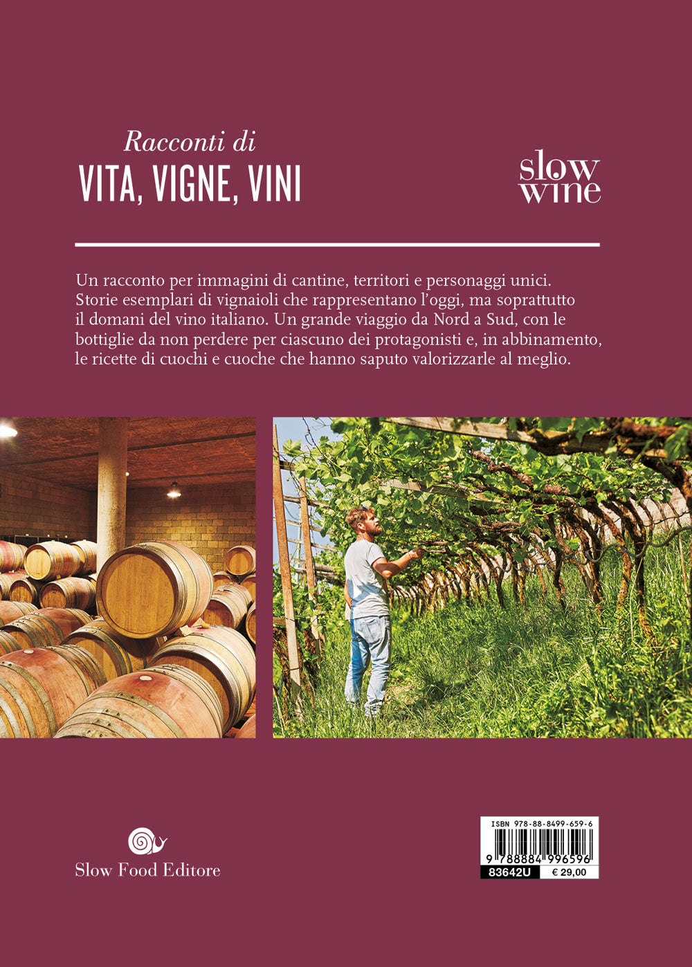 Il grande viaggio nel vino italiano::Racconti di vita, vigne, vini