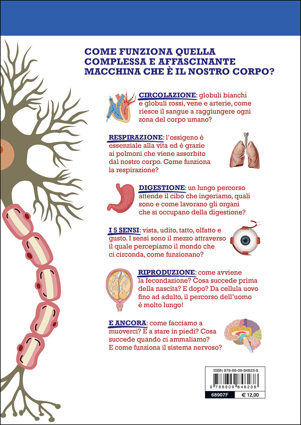 Corpo umano::100 e più fatti che ancora non sai!