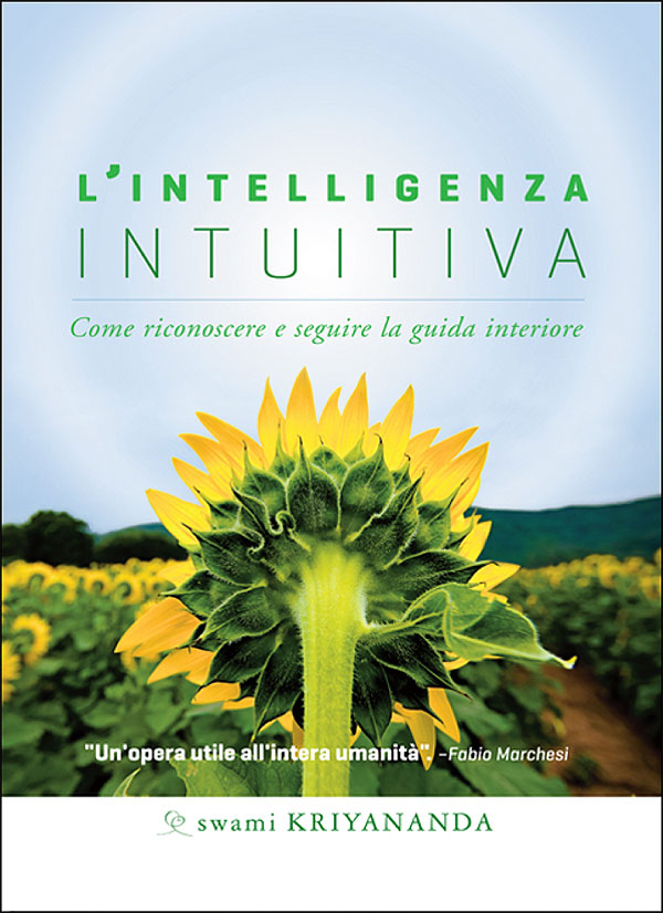 L'intelligenza intuitiva::Come riconoscere e seguire la guida interiore