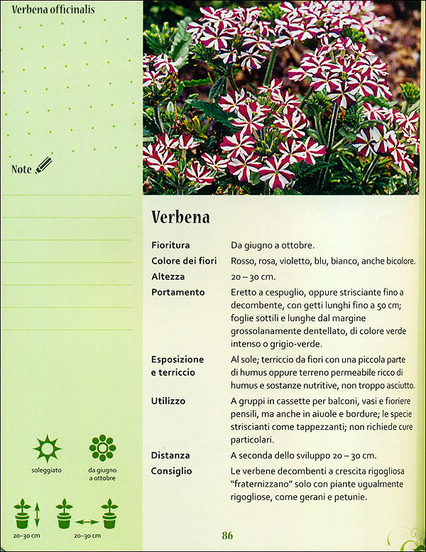 Il mio balcone tutto l'anno::Con 50 schede delle piante più belle e pittogrammi per progettare