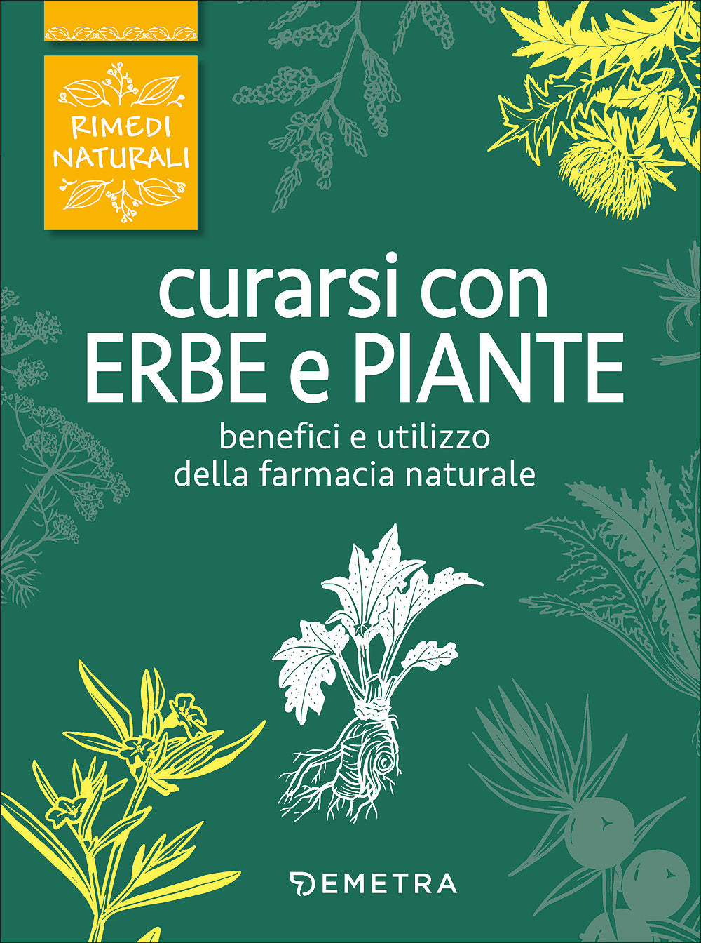 Curarsi con erbe e piante::Benefici e utilizzo della farmacia naturale