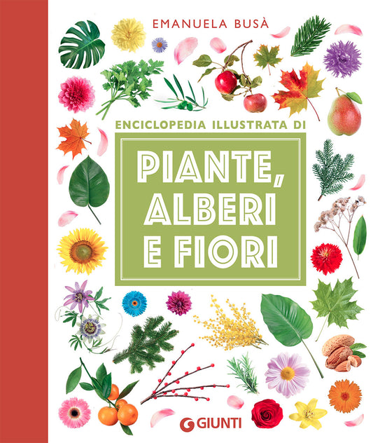 Piante, alberi e fiori