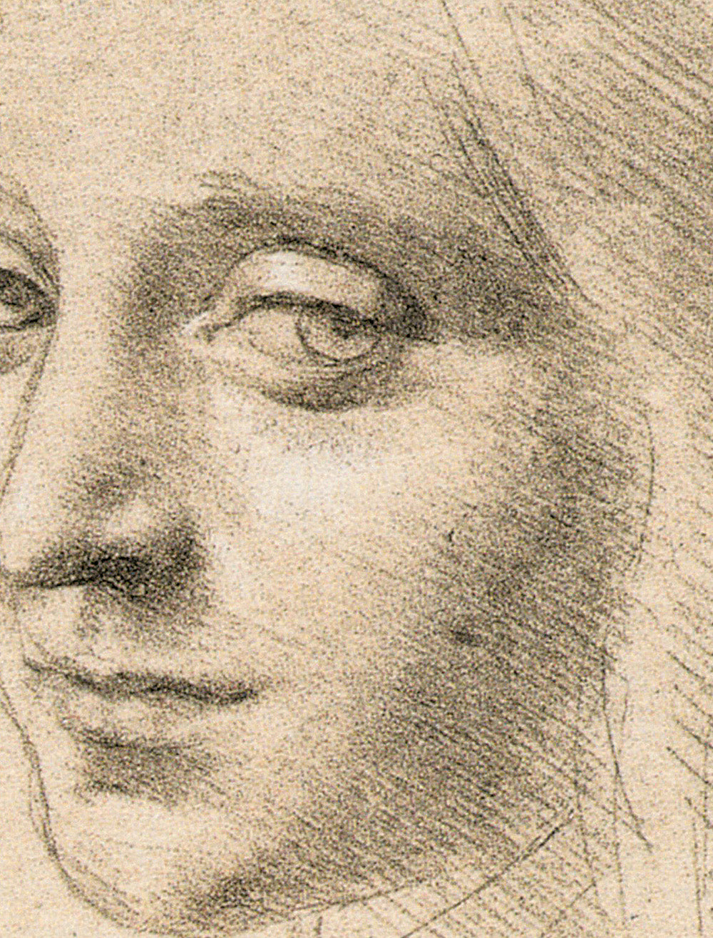 La bellezza::Leonardo da Vinci. Artista / scienziato