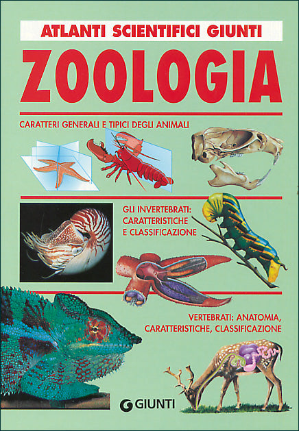 Zoologia