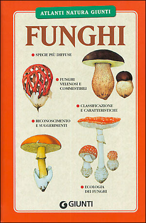 Funghi