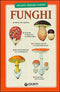 Funghi