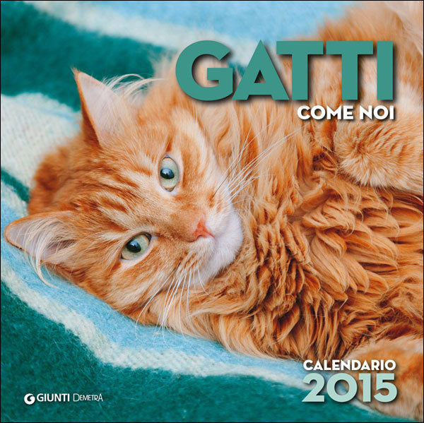 Gatti come noi - Calendario 2015