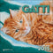 Gatti come noi - Calendario 2015