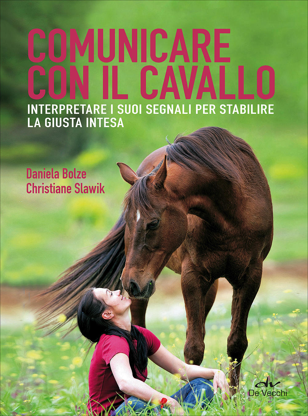 Comunicare con il cavallo::Interpretare i suoi segnali per stabilire la giusta intesa