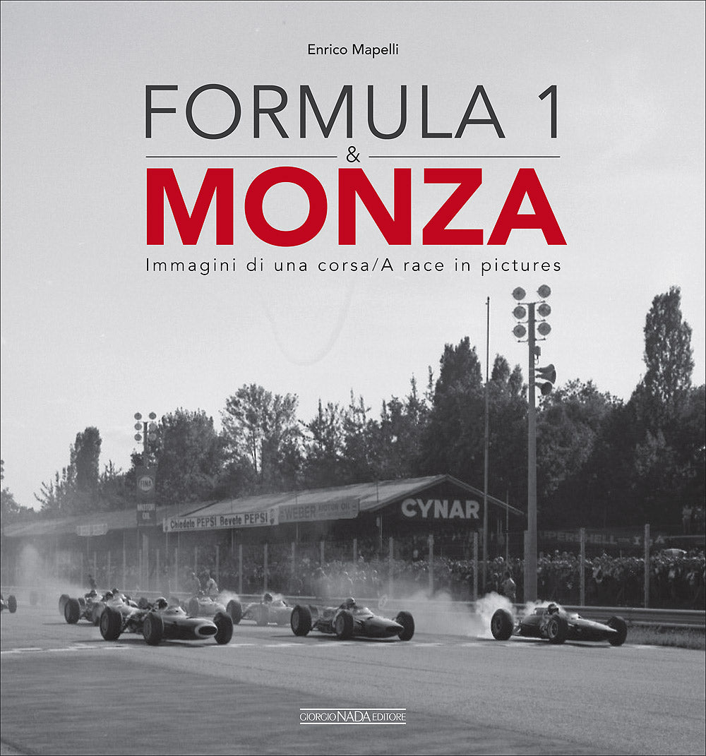 Formula 1 e Monza::Immagini di una corsa/A race in pictures