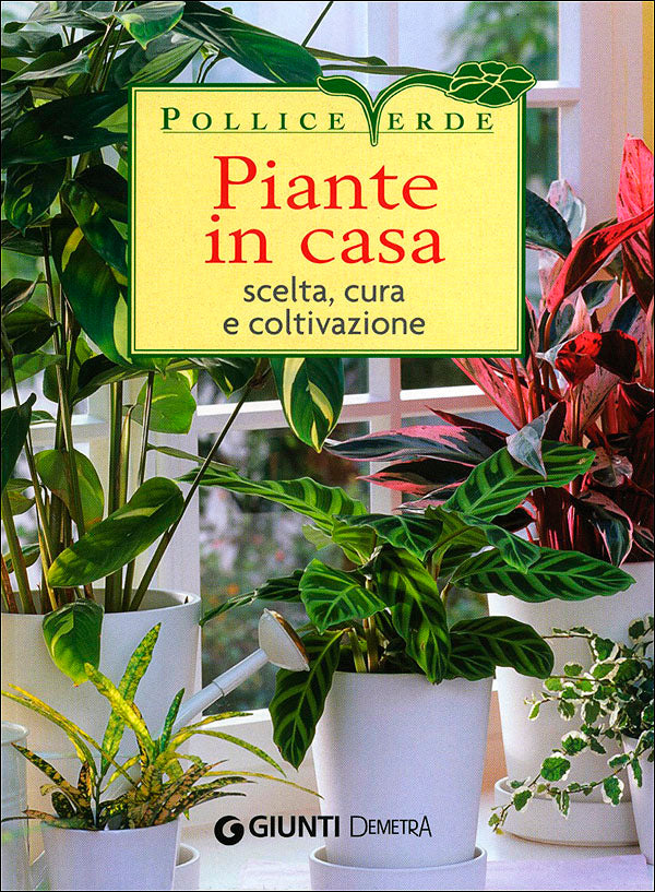 Piante in casa::Scelta, cura e coltivazione