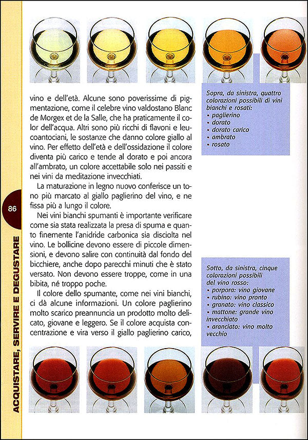 Passione vino::Sceglierlo, servirlo e degustarlo - Con ricette e abbinamenti