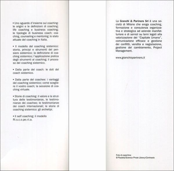 Nuovi modelli di coaching::Fondamenti, obiettivi, risorse, applicazioni - Guida pratica al coaching sistemico per rendere più efficace l'attività manageriale