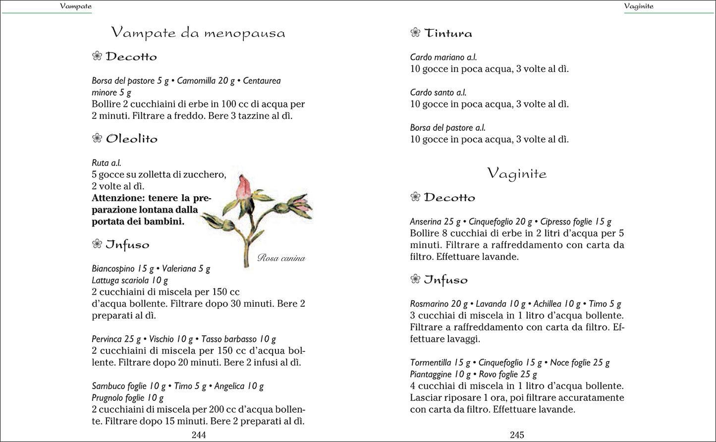 Rimedi naturali::Il libro completo per curarsi con erbe e piante