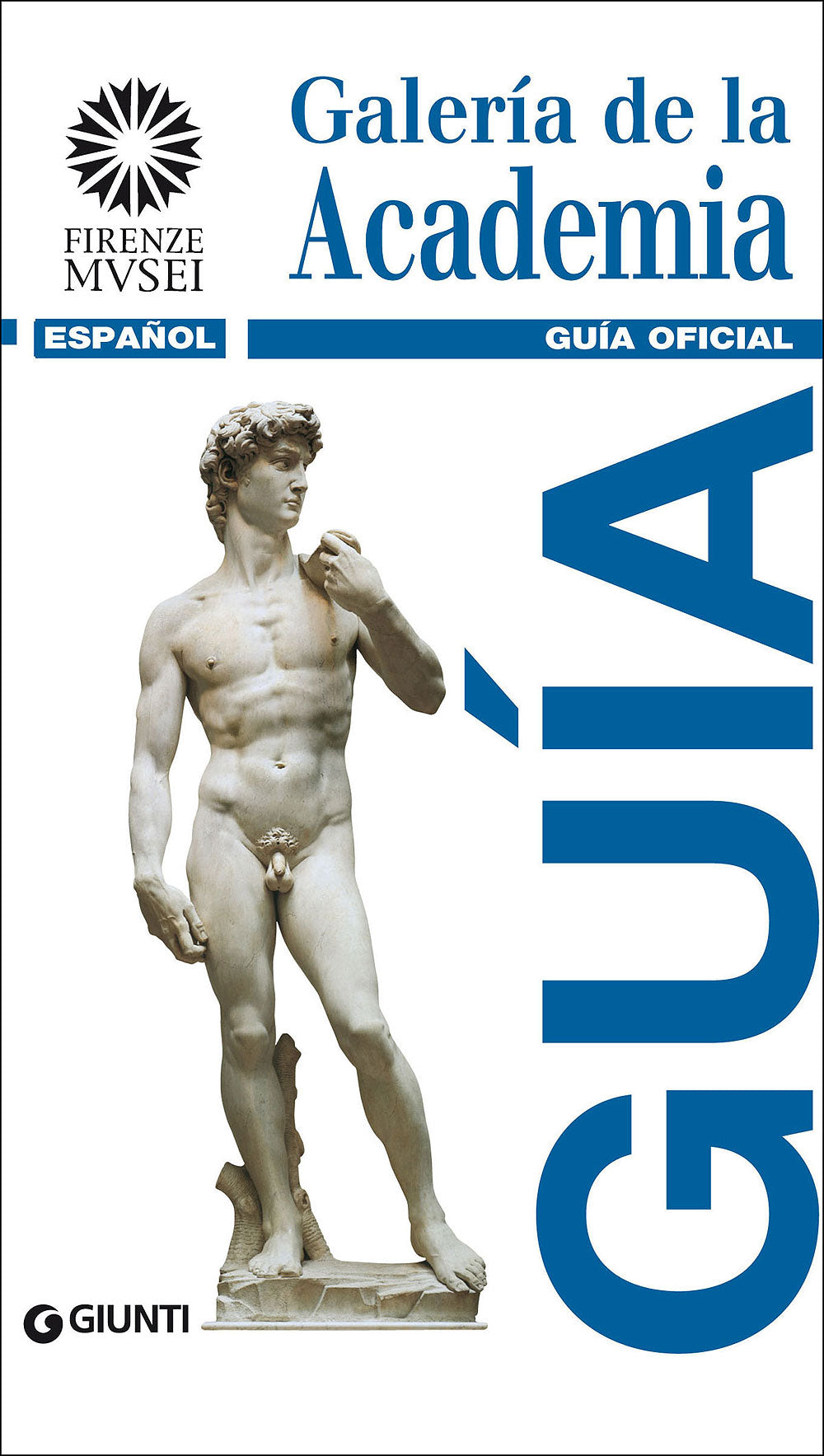 Galería de la Academia (in spagnolo)::Guía Oficial - Edizione aggiornata