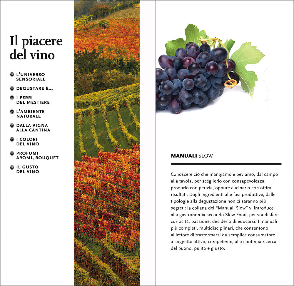 Il piacere del vino::Come imparare a bere meglio - Nuova edizione