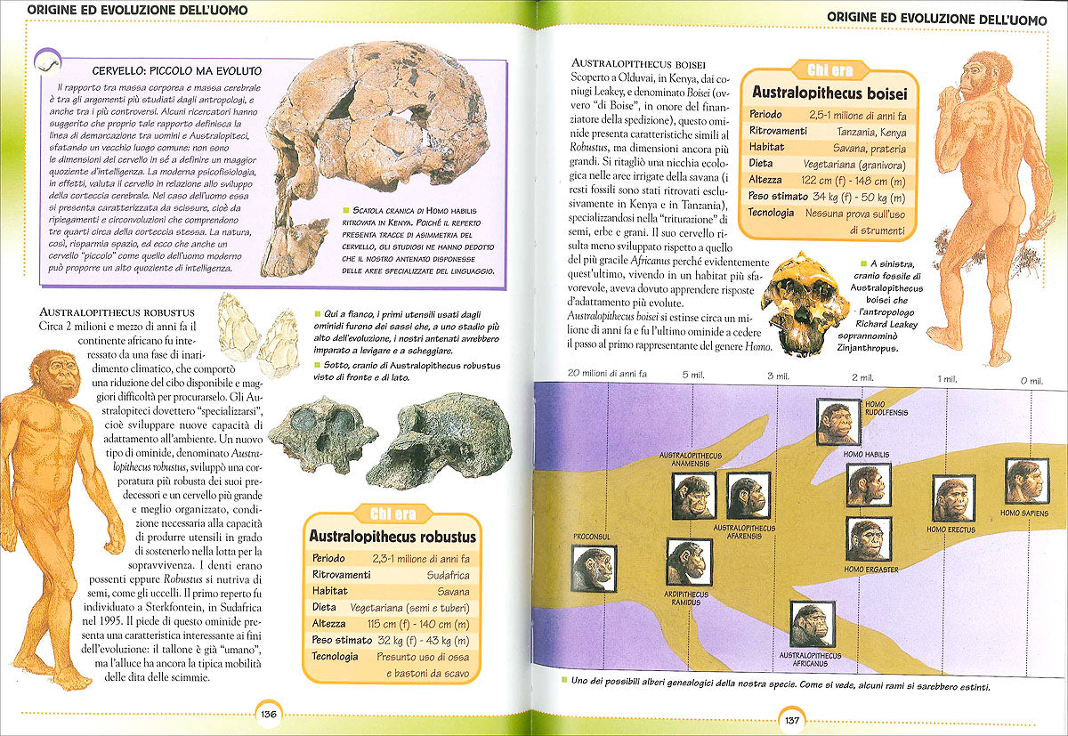 Preistoria. L'evoluzione della vita sulla Terra::Con tante immagini da ritagliare per le tue ricerche