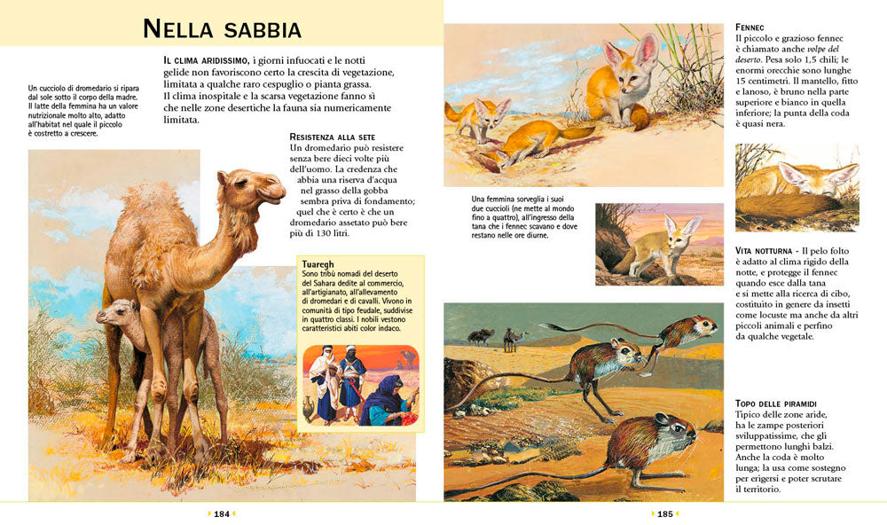 Enciclopedia Illustrata degli animali