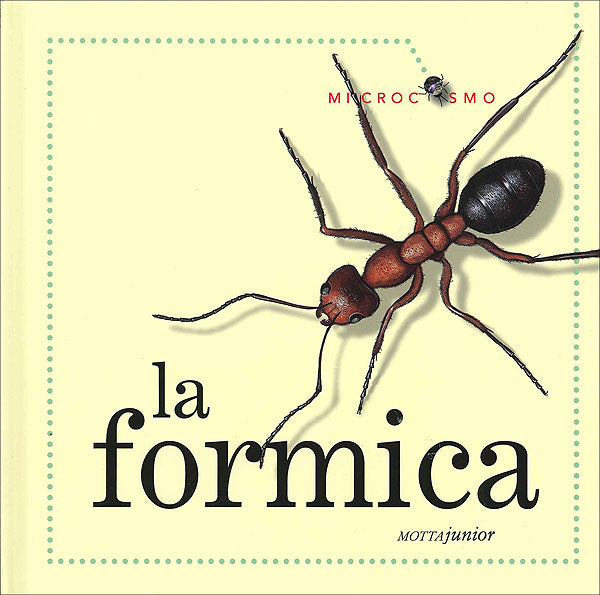 La formica