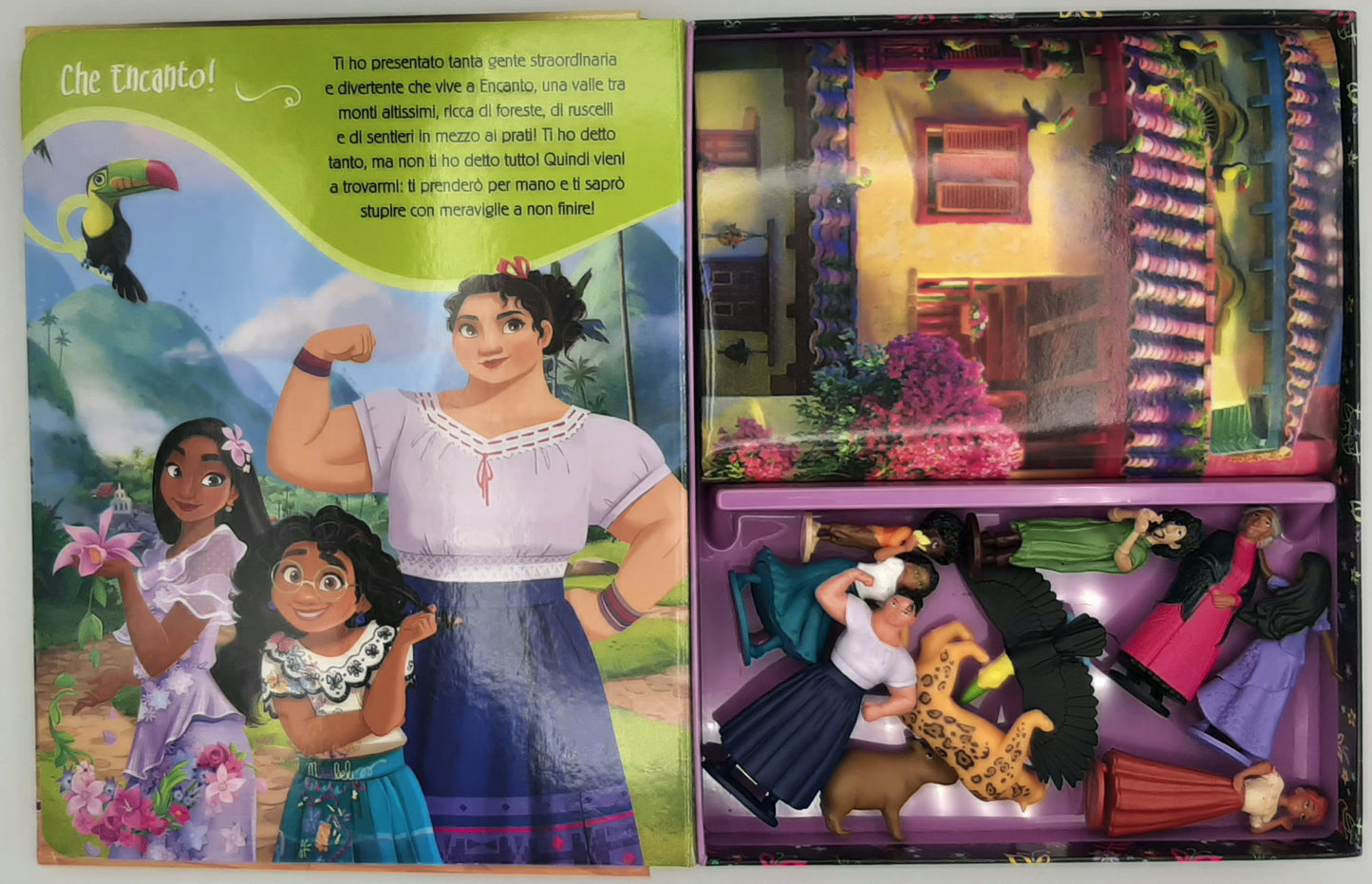 Disney Encanto Maxi Box