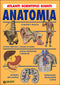 Anatomia