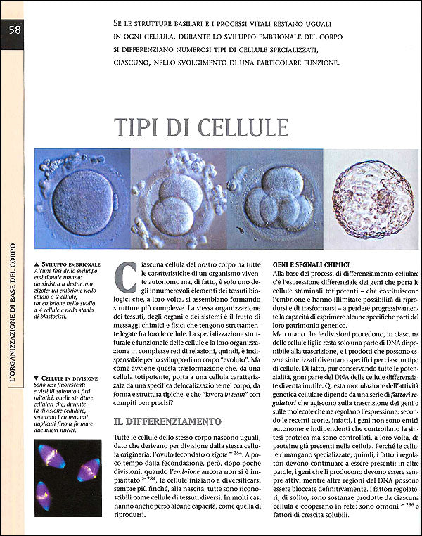 Atlante di Fisiologia umana::Il nostro corpo in azione, dalle molecole agli apparati più complessi