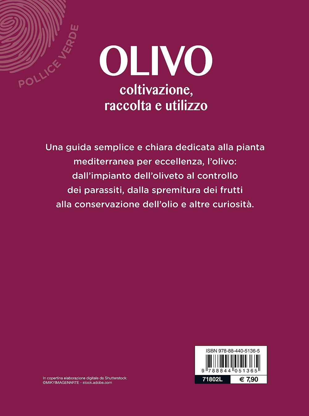L'olivo::Coltivazione, raccolta e utilizzo