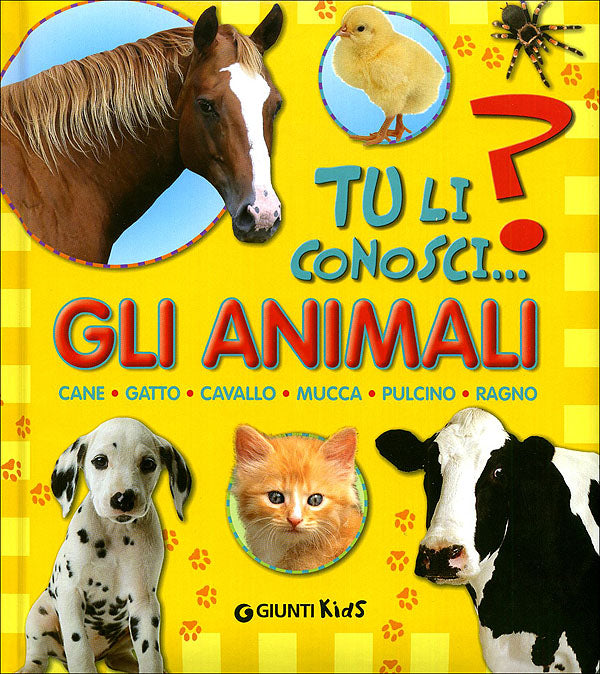 Gli Animali::Cane - Gatto - Cavallo - Mucca - Pulcino - Ragno