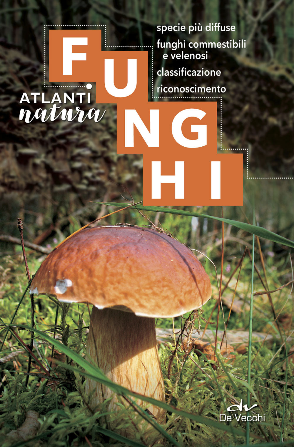 Funghi::specie più diffuse, funghi commestibili e velenosi, classificazione, riconoscimento