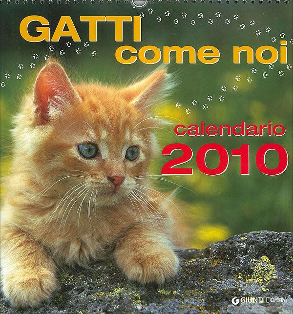 Gatti come noi - Calendario 2010