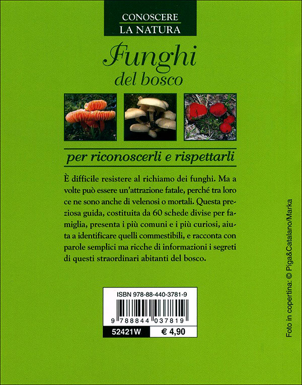 Funghi del bosco