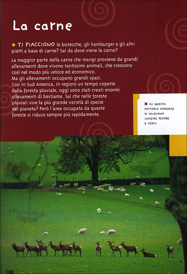 Alimenti::Perché mangi? Cos'è la dieta equilibrata? Da dove proviene il cibo che cuciniamo? Quali sono gli effetti dell'agricoltura sull'ambiente? Come puoi fare il compost?