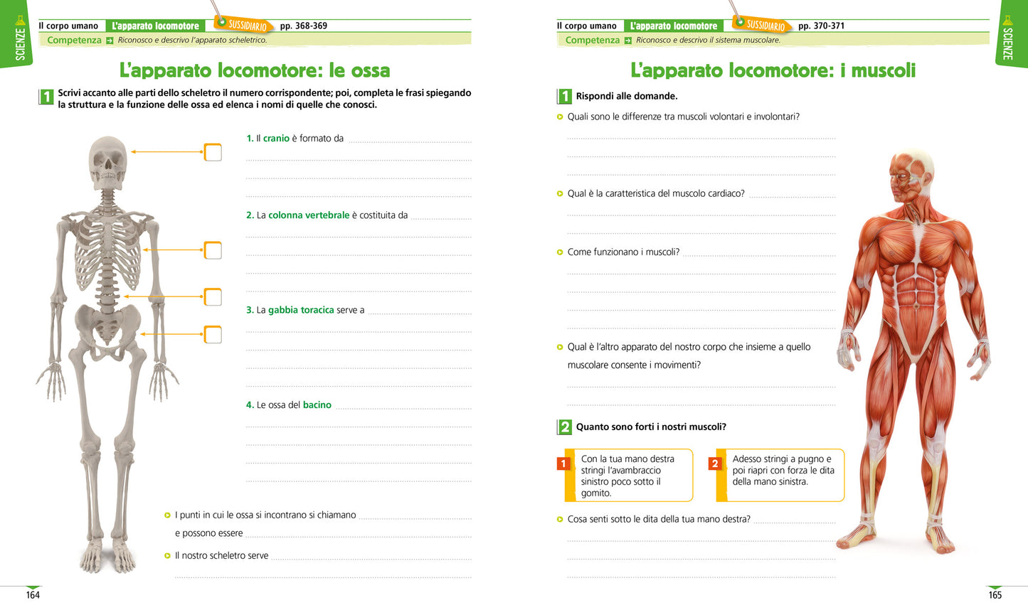 E' tempo di scoprire classe 5 Scienze::Sussidiario delle discipline Scienze + Quaderno delle competenze