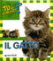 Il Gatto