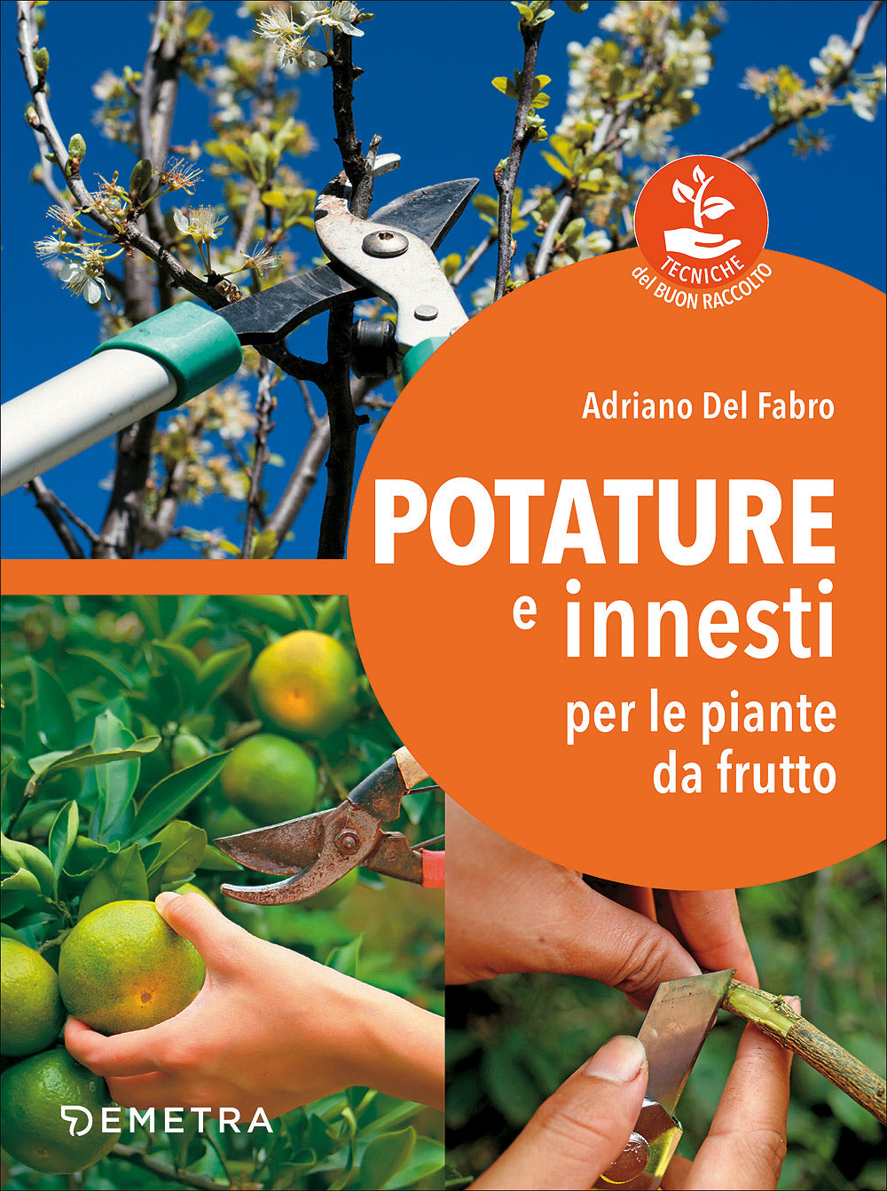 Potature e innesti per le piante da frutto