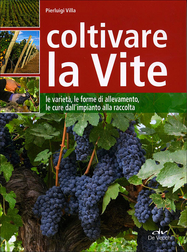 Coltivare la Vite::Le varietà, le forme di allevamento, le cure dall'impianto alla raccolta