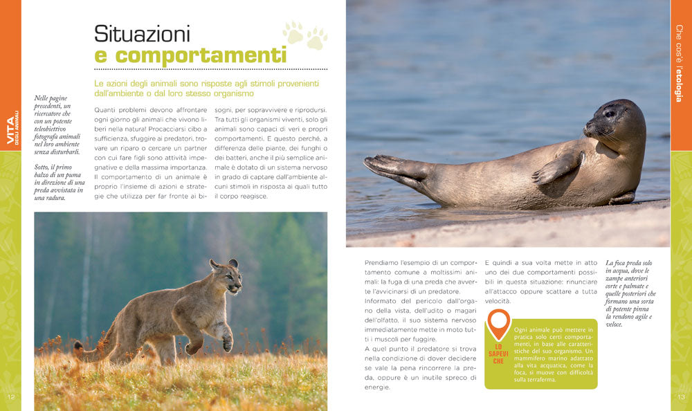 Vita degli animali::Con il contributo scientifico di Safari Ravenna