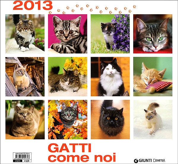 Gatti come noi - Calendario 2013