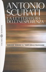 La letteratura dell'inesperienza. Scrivere romanzi al tempo della televisione